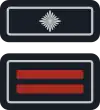Wehrführer/-in