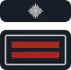 stv. Wehrführer/-in