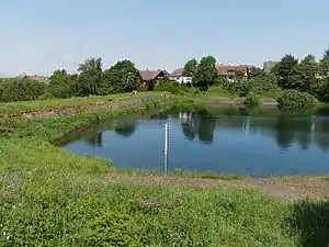 Oberer Eschenbacher Teich, Wasserfläche und Damm