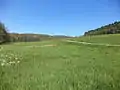 Im oberen Kahlgrundbei Kleinkahl