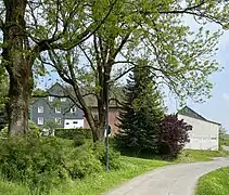 Mächtige Eschen am Ortseingang von Oberfeldbach