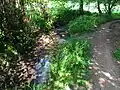 Bachlauf