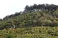 Felsen des Oberen und Unteren Rodsteins