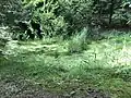 Bilzhülbe