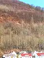 Brunnenstein oberhalb des Zeppelinwegs. Vier­zig Meter unterhalb des Felsens be­findet sich die Brunnen­quelle.