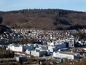 Volkmarsberg mit Aussichtsturm aus südöstlicher Richtung