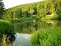 Herrenteich in Haselbach, am Rande des Ortes an der Straße nach Hasenthal gelegen