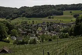 Blick auf Obermupf vom Rebberg unterhalb der Trumleste