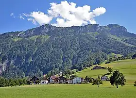 Oberschönenbuch mit Fronalpstock