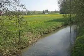 Unterhalb von Oberwerrn