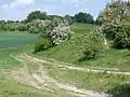 Weg von Süden zum Gipfel