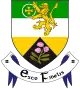 Wappen und Flagge der Grafschaft Offaly