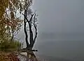 Herbststimmung