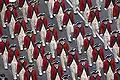 Parade der Old Guard