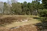 Großsteingrab Oldendorf 1