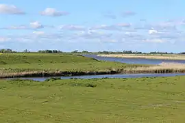 Blick zur Eider im NSG „Oldensworter Vorland“