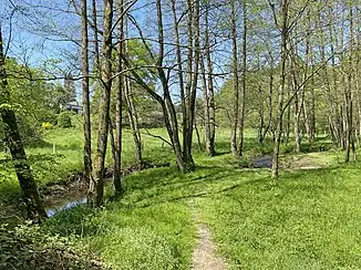 Naturschutzgebiet Olpebachtal