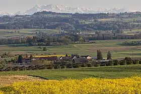 Blick von Berg auf Opfershofen, das Thur­tal und den Alpstein.
