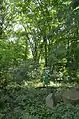 Wald am Steinbruch Orbishöhe  (2017)