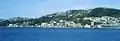 Oriental Bay von Queens Wharf