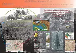 Naturschutz im Orjen