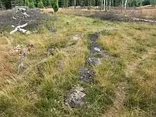 Treudd auf Orraryds gravfält