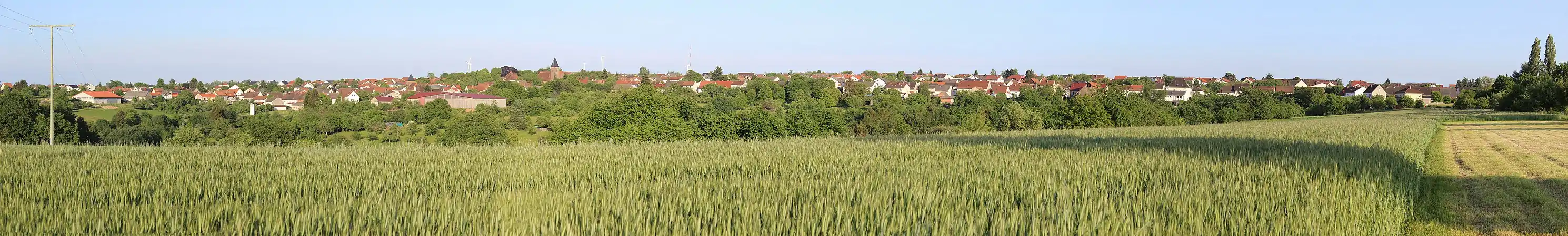 Sicht auf Vinningen von der Landesstraße 478 in östlicher Richtung
