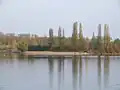 See Binsfeld: Blick auf dessen Ostufer, auf die Landzunge die Binsfeld vom Kuhuntersee trennt. Der Bereich wird im Sommer als FKK-Strand genutzt. Die hohe Baumreihe im Hintergrund liegt schon hinter Rheinhauptdeich und K2 und gehört zum Auenbereich des Rheins. Rechts hinten sieht man die Spitze des Pylons der als Hängebrücke ausgeführten Autobahnbrücke der A 61 über den Rhein.