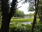 Naturpark Virovi