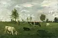 Weidelandschaft (Zons am Rhein)