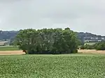 Standort der ehemaligen mittelalterlichen Burg