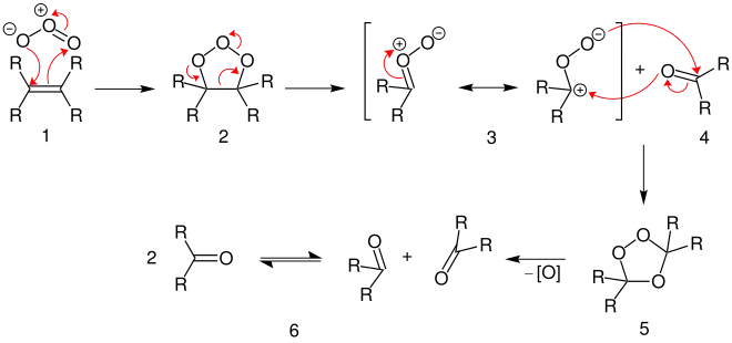 Mechanismus der Ozonolyse; R = Organylrest (z. B. Alkylrest)