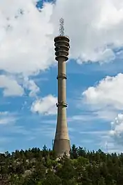 Bild des Objektes