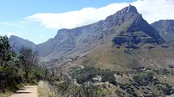 Schutzgebiete der Region Cape Floral. Sie gilt mit nahezu einem Fünftel der Pflanzenarten Afrikas, von denen fast ein Drittel endemisch ist, als Region mit der vielfältigsten Flora der Welt.