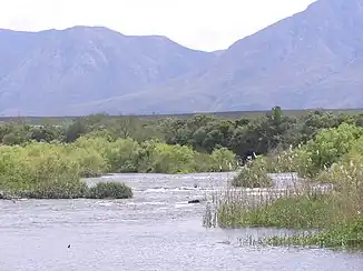 Breede River vor Langeberg Mountains