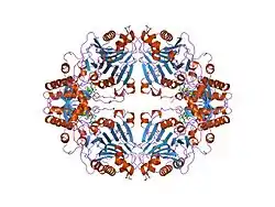 Amidophosphoribosyltransferase