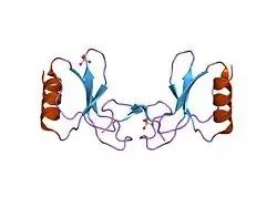 CCL5