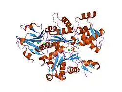 Neurales Wiskott-Aldrich-Syndrom-Protein