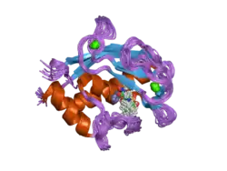 Matrix-Metallopeptidase 20