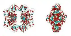 Pyruvatdecarboxylase