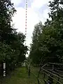 Reusenleitung zur Übermittlung des Signals