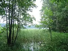 Zbiczno
