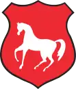 Wappen von Łosice