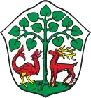 Wappen von Braniewo