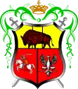 Wappen von Drohiczyn