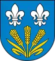 Wappen von Chąśno
