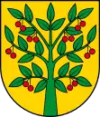 Wappen von Wiśniew