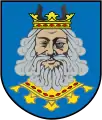 Wappen des Powiat Rypiński