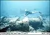 SS ANTONIO LOPEZ Shipwreck