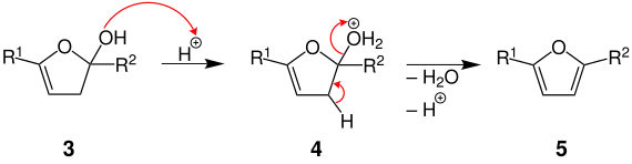 Mechanismus der Paal-Knorr-Furan-Synthese, Teil 2